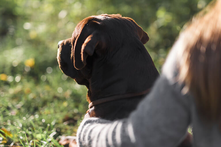 Köpeklerle İnsanlar Arasındaki Şaşırtıcı Benzerlik