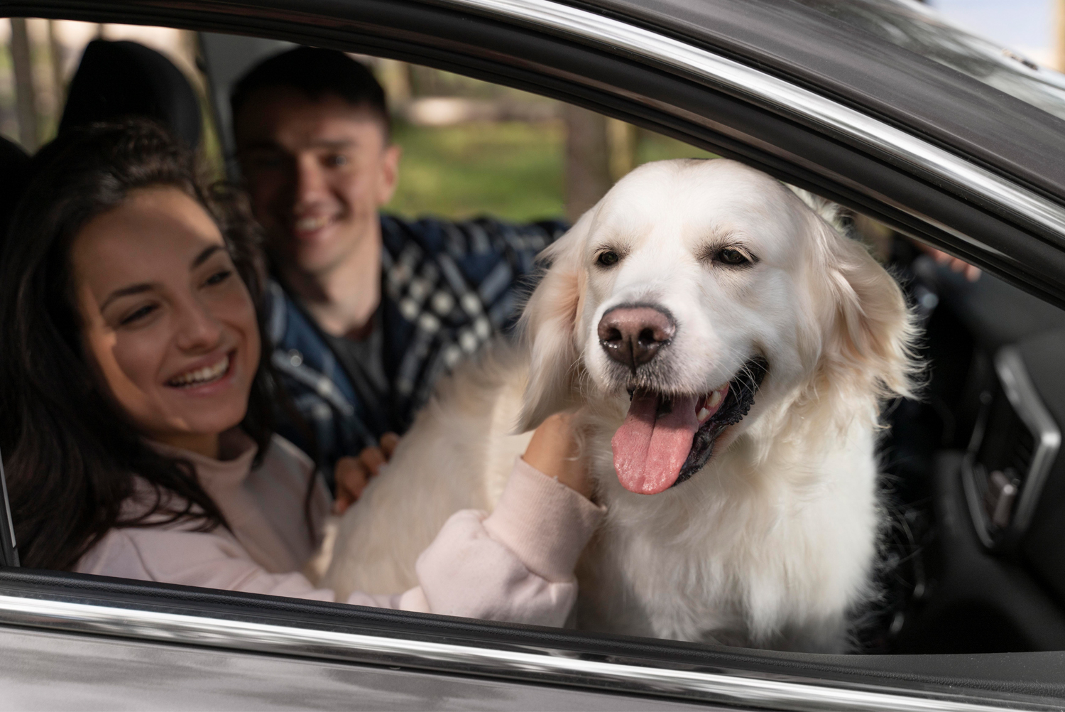 Nasıl İyi Bir Köpek Sahibi Olabiliriz?