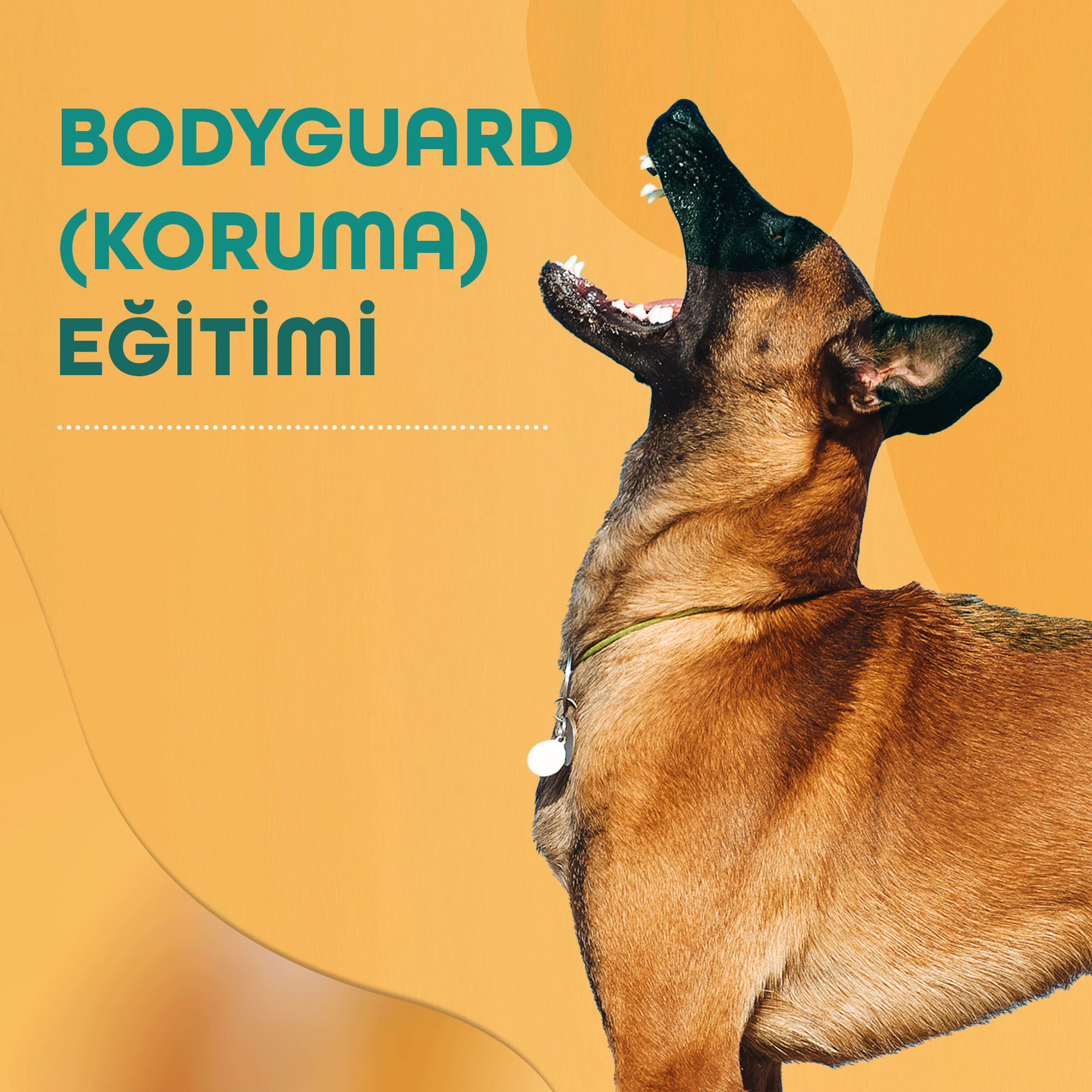 Bodyguard (Koruma) Eğitimi