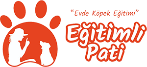 Evde Köpek Eğitimi